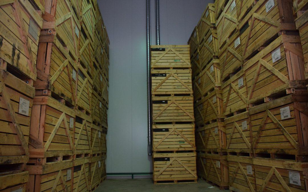 Mantenemos nuestras patatas en las mejores condiciones de calidad y frescura