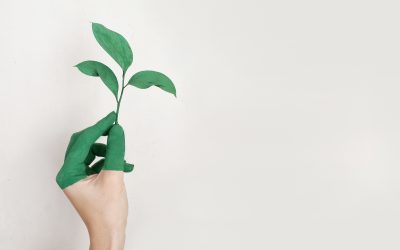 Servicios que ofrece Interagro
