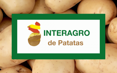 Las mejores frutas, verduras y hortalizas producidas en España